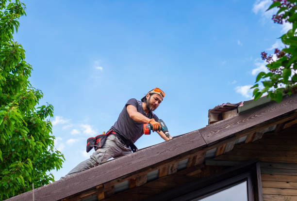 Fast & Reliable Emergency Roof Repairs in Holly Hill, SC