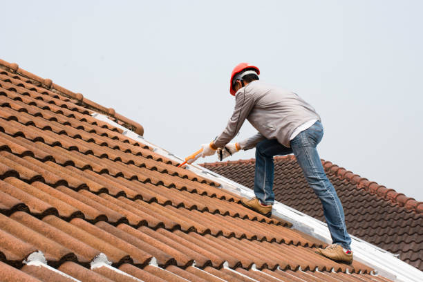Best Tile Roofing Installation  in Holly Hill, SC
