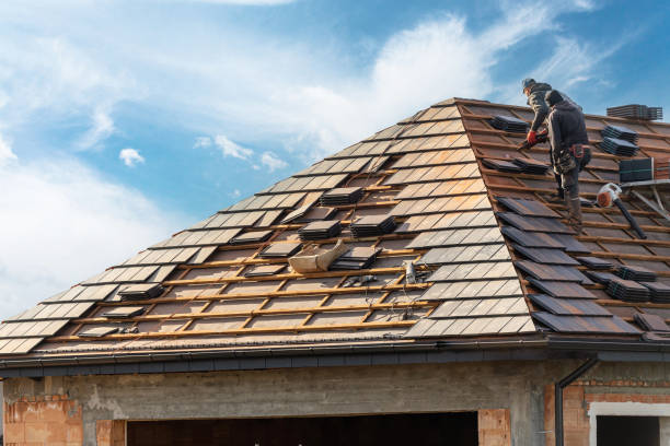 Best Solar Panel Roofing Installation  in Holly Hill, SC