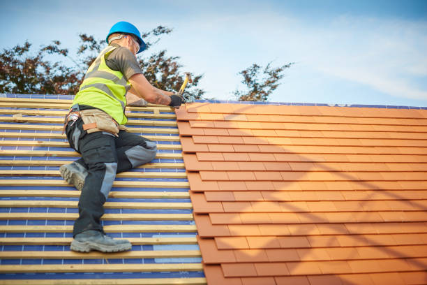 Best Gutter Installation and Repair  in Holly Hill, SC