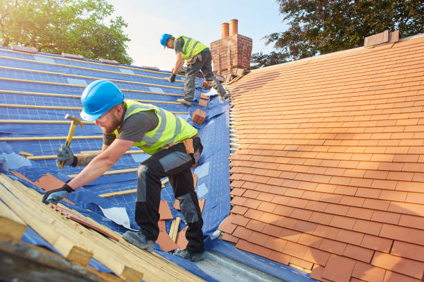 Best Roof Maintenance and Cleaning  in Holly Hill, SC